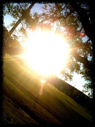 Illustration for article titled Shooting Challenge: Lens Flare Gallery Part One